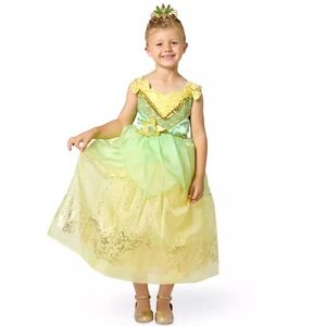 Disney Princess and The Frog Kids Costume Tiana Dress